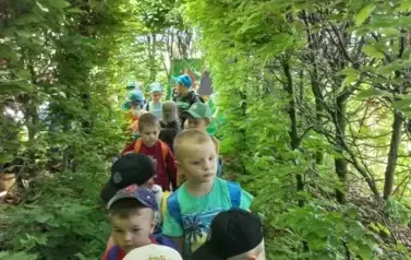 Dzieci w labiryncie bukowym szukają skarbu oraz ukrytych rycerzy i księżniczek.