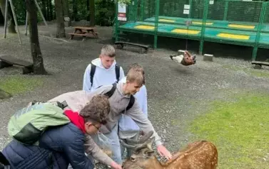 Dokarmianie zwierząt w Parku