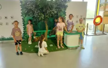 Uczniowie poznają funkcjonowanie ekosystemu leśnego