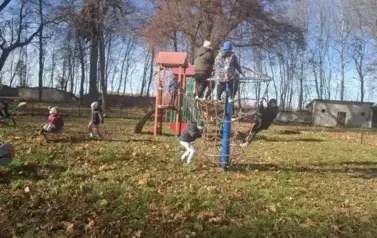 Zabawy w pałacowym parku