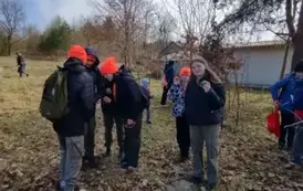 Poszukiwanie pisanek
