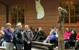 Pokaz lot&oacute;w s&oacute;w