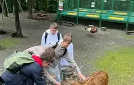 Dokarmianie zwierząt w Parku