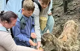Dokarmianie zwierząt w Parku.