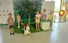 Uczniowie poznają funkcjonowanie ekosystemu leśnego
