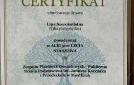 Certyfikat ufundowania drzewa w Alei 500-lecia Staszowa