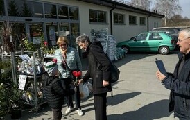 Wręczanie kwiat&oacute;w przechodniom