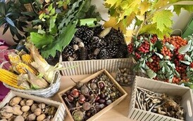 Nasza strefa odkrywania świata nauki i przyrody